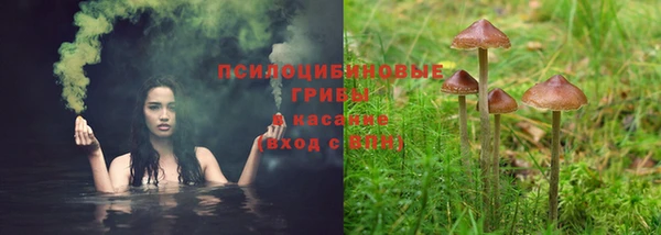 jwh Бородино