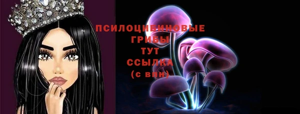 jwh Бородино